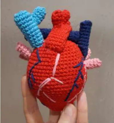 Anatomical Heart Amigurumi Pattern